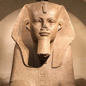 Meet your Posher, Warren